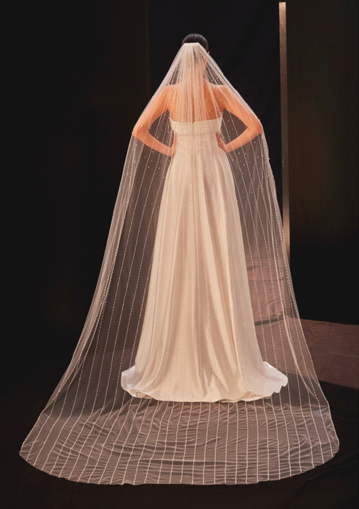 Azenya Wedding Light Ivory Rhinestone Embellished Cathedral Bridal Veil