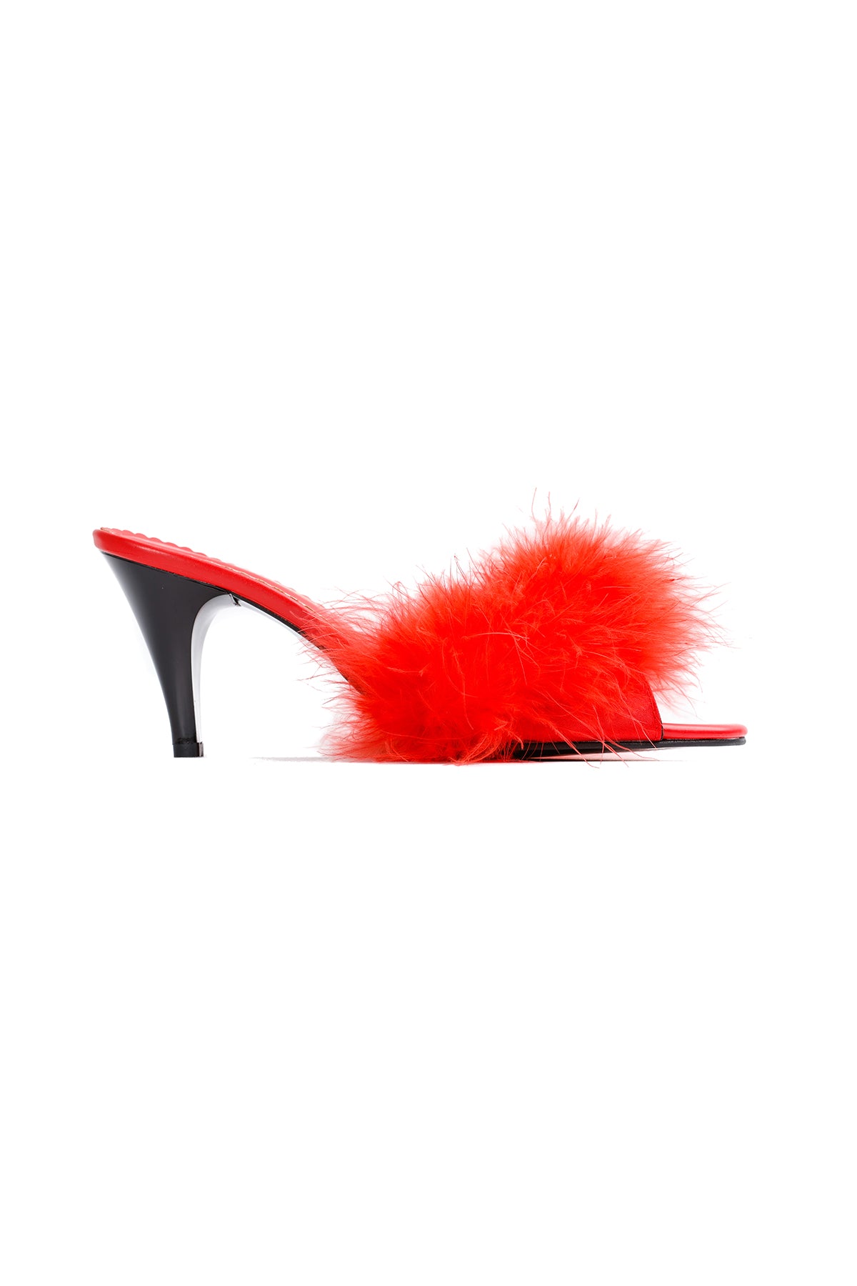 Red Feathers Mule